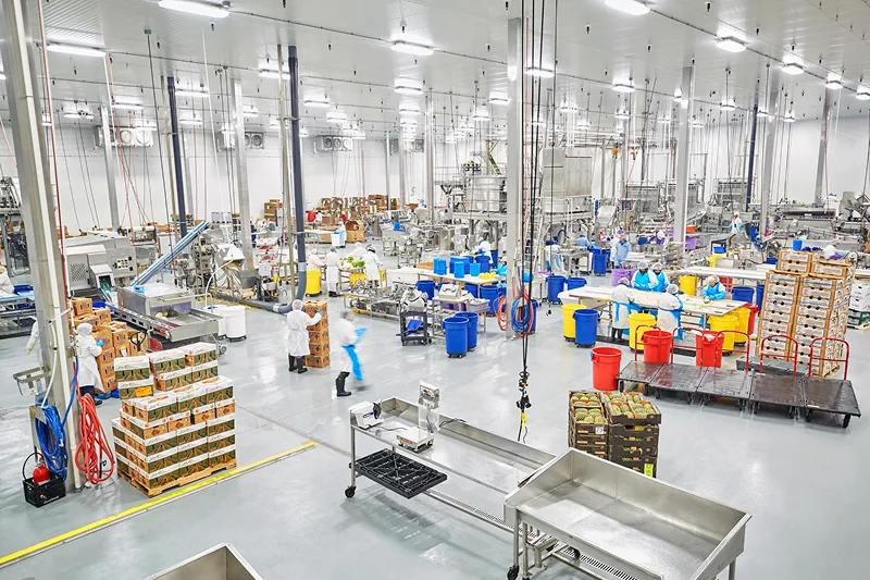 Food and beverage processing plants